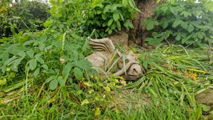 Photo 14- click for photo gallery